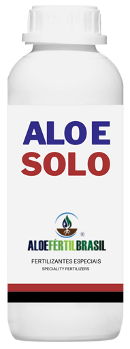 Aloe Solo